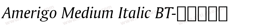 Amerigo Medium Italic BT字体转换